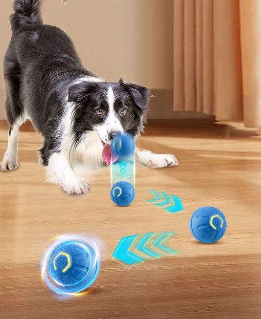 ActivePet™ Pelota Inteligente Para Mascotas